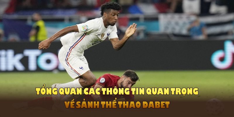Tổng quan các thông tin quan trọng về sảnh thể thao DABET